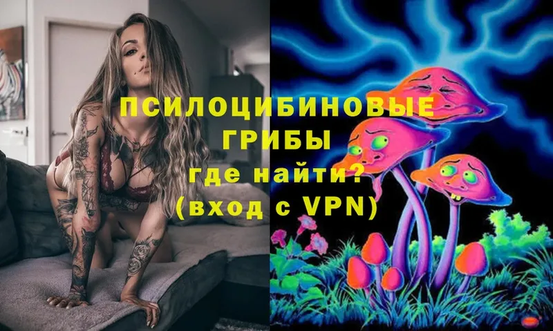 shop как зайти  Ветлуга  Галлюциногенные грибы Psilocybe  кракен зеркало 